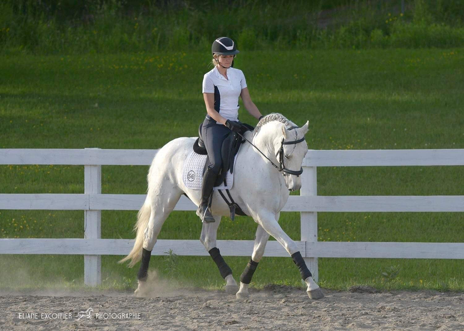 How to Care for Your Leather with The Riding Glow